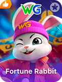 Fortune Rabbit